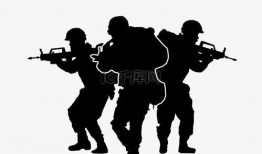 散兵剪影图爆料视频下载,视频爆料背后的秘密与猜想